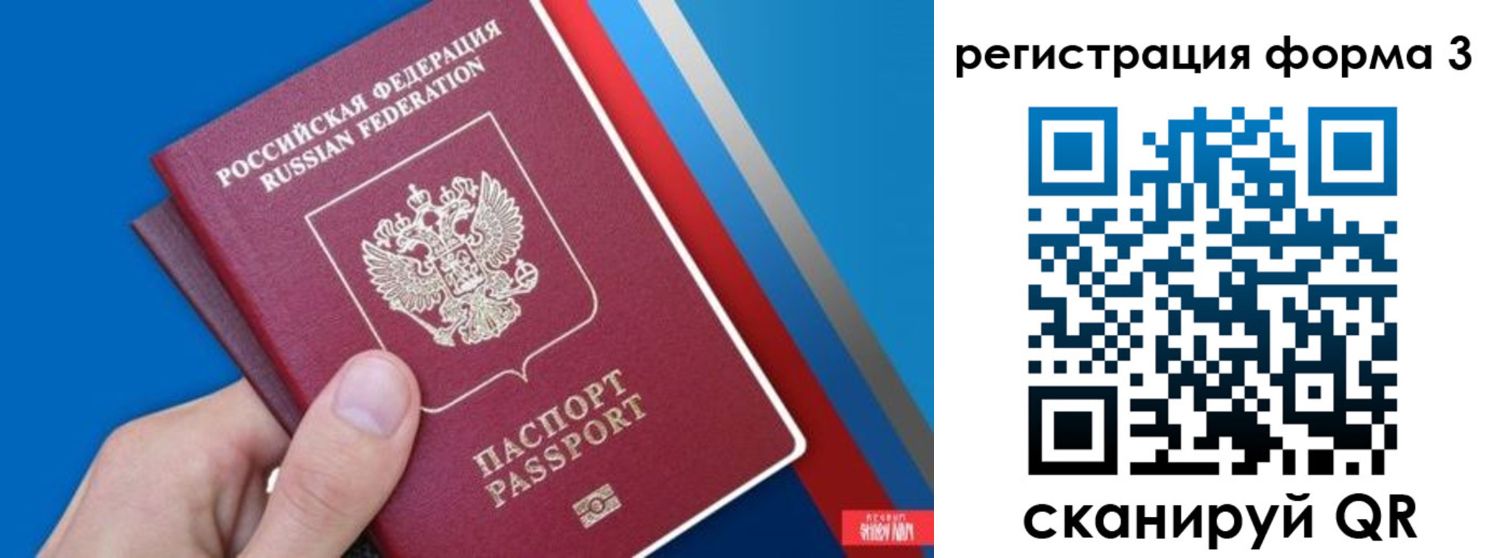 временная регистрация госуслуги в Светлом